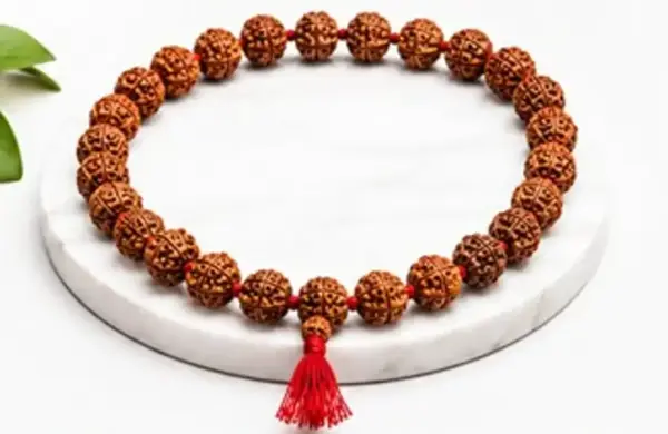 Natural 108 Beads Rudraksha Mala