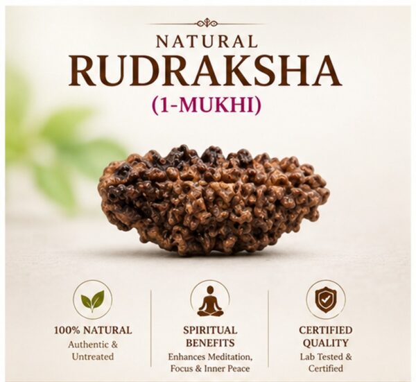 one mukhi kaju dana