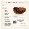 Rudraksha Combo Pack