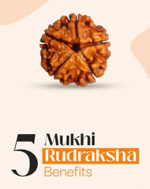 5 Mukhi Rudraksha