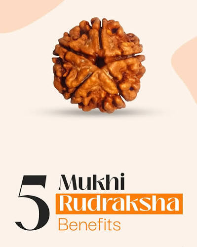 images (1) 5 Mukhi Rudraksha