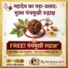 0c381211-fb02-4555-a8df-1dcb9bc49fef.jpg 5 mukhi rudraksha