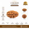 2 Mukhi Indonesian Rudraksha | Natural DO Mukhi Rudraksha | Original Rudraksha Bead
