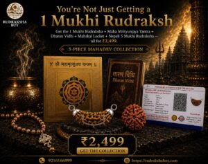 1 Mukhi Rudraksha 5-Piece Mahadev Collection | Maha Mrityunjaya Yantra, Mahakal Locket, Nepali 5 Mukhi Rudraksha & Dharan Vidhi