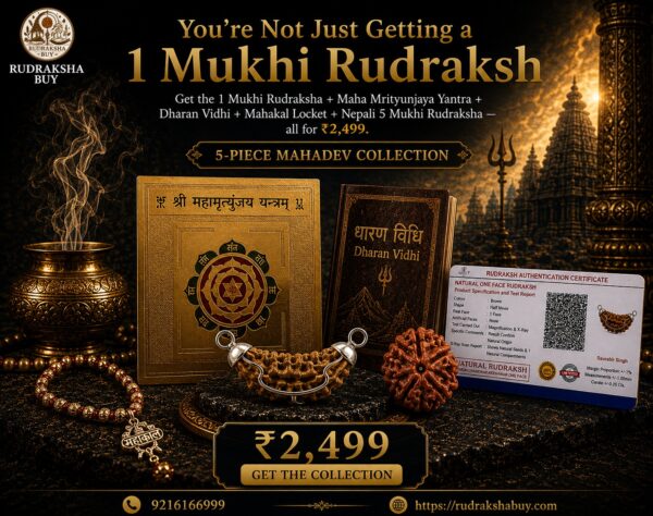 WhatsApp Image 2026-08-13 at 16.18.07 1 Mukhi Rudraksha 5-Piece Mahadev Collection | Maha Mrityunjaya Yantra, Mahakal Locket, Nepali 5 Mukhi Rudraksha & Dharan Vidhi